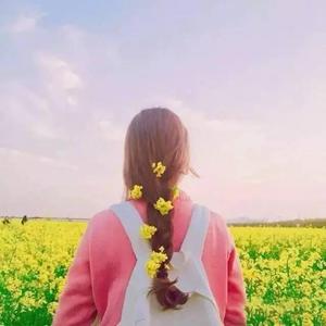 小逗逗在线观看免费版全集
