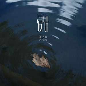 小逗逗在线观看免费版全集
